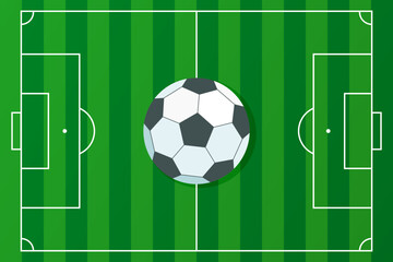 Soccer pitch, sport scenery game frame, layout of match game and grass texture
