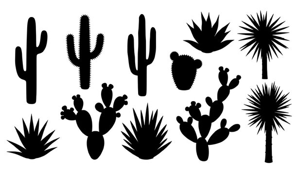 Mexican desert plant cactus silhouettes solid black vector isolated on transparent background