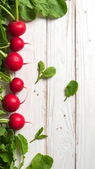 Fresh red radishes and green leaves on a white wooden surface. Light and airy, food photography