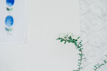 花,コデマリ,北欧のインテリア