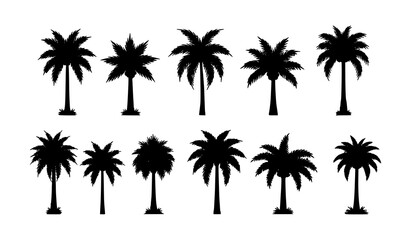 Naklejka premium Palm trees silhouette vector icon set tropical nature collection isolated on transparent background