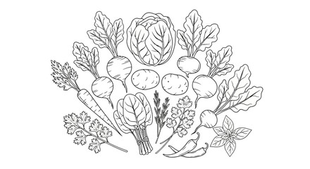 Hand-drawn vegetables vector illustration