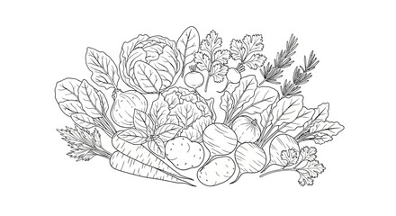 Fresh vegetables line art illustration
