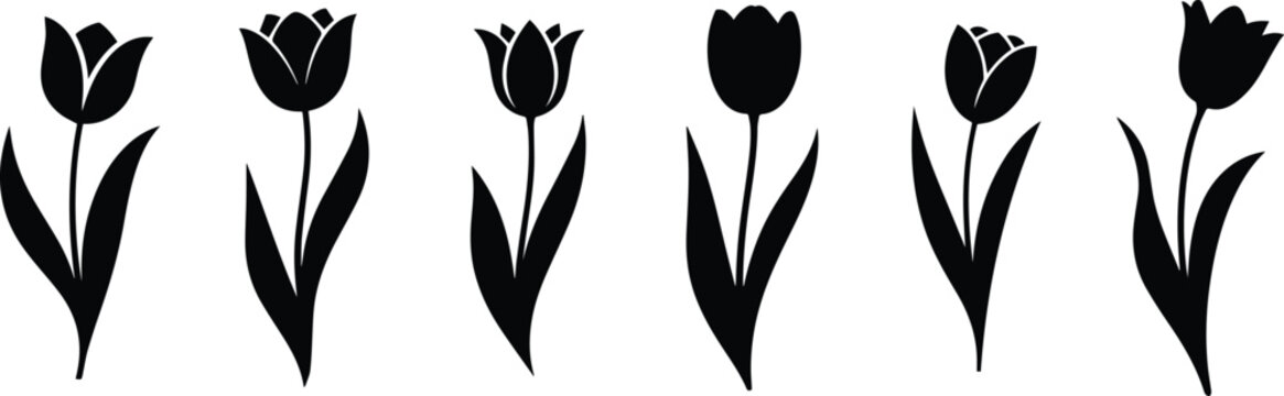 Set of Minimalist black blooming tulip flower with a long stem silhouette vector icon