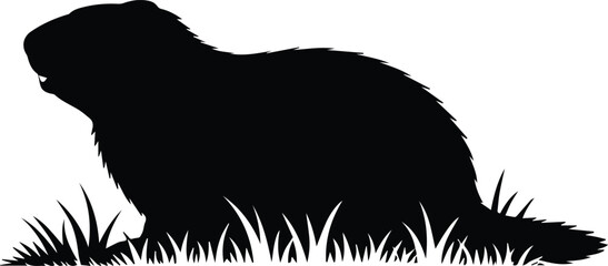 Minimalist black groundhog shadow on the grass silhouette vector icon