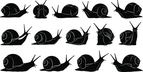 Set of snail silhouettes, various garden gastropod icons in crawling poses, slow moving mollusk shapes, nature wildlife elements, botanical vector illustration, garden, shell. © It's Majed Here