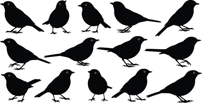 Set of small bird silhouettes, songbird wildlife icons, nature avian collection, robin and sparrow shapes, flying and perching garden birds, vector illustration.