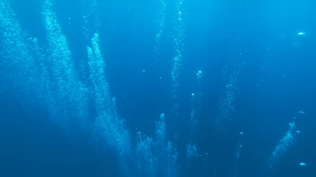 Air bubbles from divers breathing rising through deep blue water