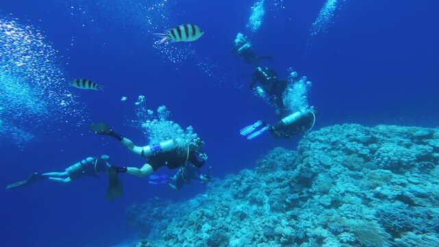 Scuba divers swimming along deep coral reef wall 
