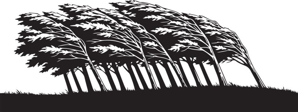 Wind blowing through trees Silhouette vector black on a white background