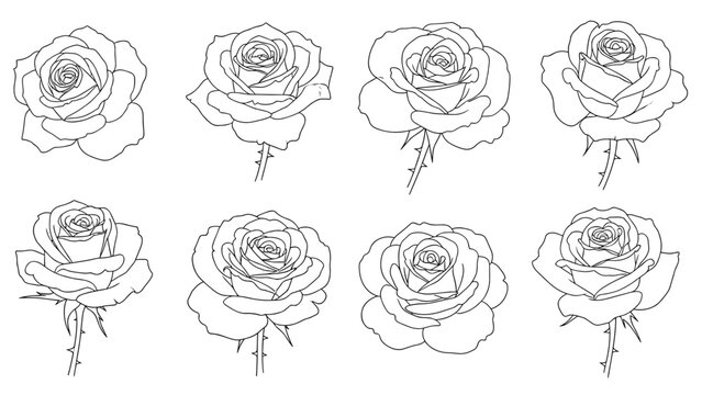 Set of eight simple black and white line art outlines of rose blossoms in various angles perfect for coloring or minimalist design.