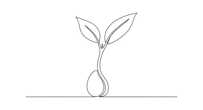 Simple continuous line drawing of a young seedling with two leaves emerging from a seed on a white background representing growth and new beginnings