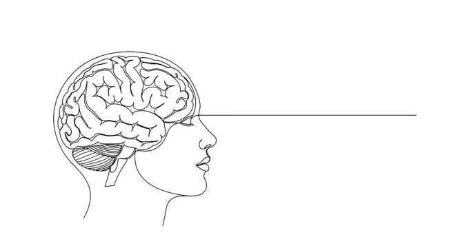 Detailed anatomical illustration of a human brain in profile view with a subtle horizontal line extending from the eye area into white space