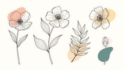 Obraz premium Modern floral illustration featuring hand drawn flowers and leaves combined with soft abstract color shapes for elegant greeting cards.