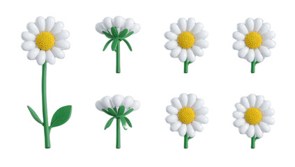 Collection of realistic 3D rendered daisies in various poses, perfect for floral design and botanical illustrations