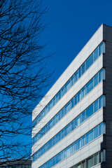 Obraz premium Contemporary high-rise architecture contrasted with a blue sky, accented by bare tree branches in the foreground. Ideal for concepts of urban life and modern city landscapes.