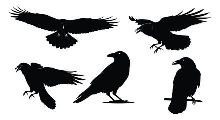 Obraz premium Multiple black silhouettes of ravens or crows in various positions including flying, perched, and calling out on a white background.