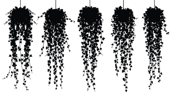 Five separate black silhouettes of dense ivy or hanging plants suspended from strings against a plain white background.
