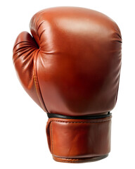 boxing glove	