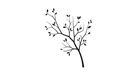 Black silhouette of a slender tree branch with delicate leaves growing in multiple directions isolated on a solid white background.