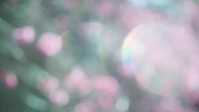 春の背景バックグラウンド　キラキラ輝くピンクの花の丸ボケ　まぶしいきらめく日差しとレンズフレア　美しい自然の風景　花見・ひなまつり・入学・卒業 縦動画