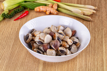Raw fresh wild clams mollusc © Andrei Starostin