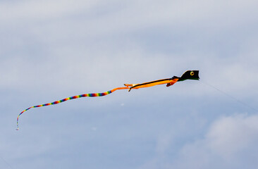 Colorful kites soaring high in the sky at a vibrant kite festival on a sunny day.