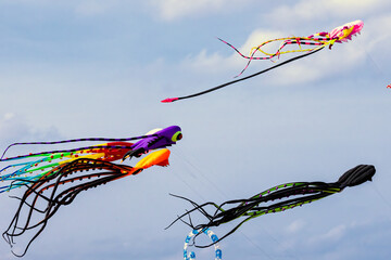 Colorful kites soaring high in the sky at a vibrant kite festival on a sunny day.