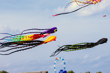 Colorful kites soaring high in the sky at a vibrant kite festival on a sunny day.