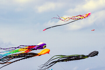 Colorful kites soaring high in the sky at a vibrant kite festival on a sunny day.