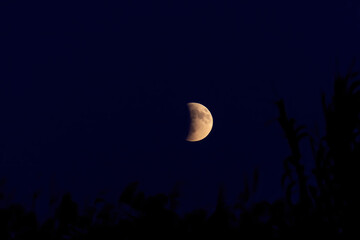 Blood moon lunar eclipse on 07 September 2025