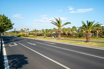 Fototapeta premium Palm - Lined Urban Road on a Sunny Day