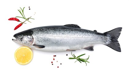 Fresh fish, side-view, isolated on white. Garnished with lemon slice, chili, rosemary and colorful peppercorns.