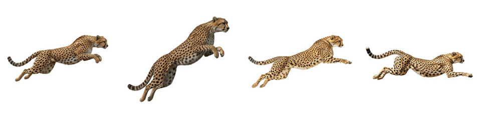 Set of Cheetah Action Poses and Running Wildlife Predator PNG © Funny