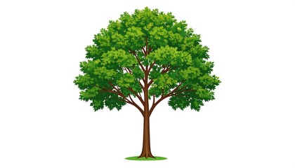 Illustration of a tree with green leaves, brown trunk and branches, isolated on white backdrop, for springtime