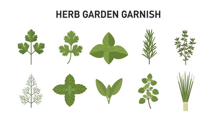 Ten illustrations of different green herbs are arranged in two rows under a title © Faisal