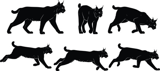 Black and white lynx silhouette set with walking stalking and running poses, powerful wild cat wildlife vector illustration isolated on white background © Heyyy