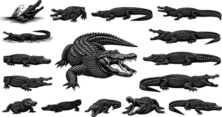 Vintage black and white crocodile and alligator engraving illustration set with aggressive reptile poses, detailed wildlife line art isolated on white background © Ideasy Mind