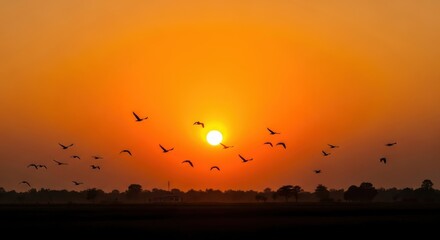Obraz premium Birds flying into the sunset over a dark landscape.
