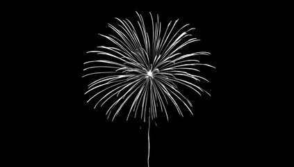 A white firework explodes against a stark black background, showcasing a burst of radiant lines