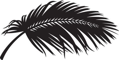 Fototapeta premium Black Silhouette of a Palm Tree Leaf on White