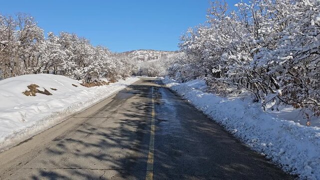 Snow-covered road winding through winter forest under clear blue sky, capturing seasonal tranquility and natural beauty.📍Marivan, Kurdistan 
