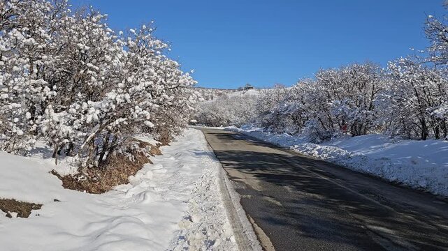 Snow-covered road winding through winter forest under clear blue sky, capturing seasonal tranquility and natural beauty.📍Marivan, Kurdistan 