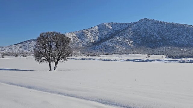 A solitary tree stands in a vast snowy plain beneath clear blue skies, surrounded by untouched mountains and winter silence.
📍Marivan, Kurdistan 