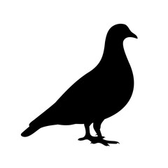 ​Set of diverse vector icons including people, nature, architecture, and lifestyle symbols.
