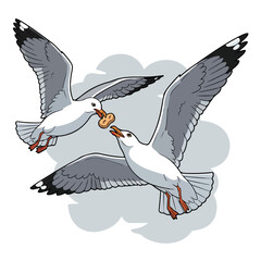 Two Seagulls Flying and Sharing Food.