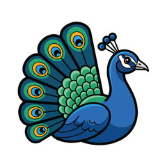 Vibrant Peacock with Open Tail Feathers.