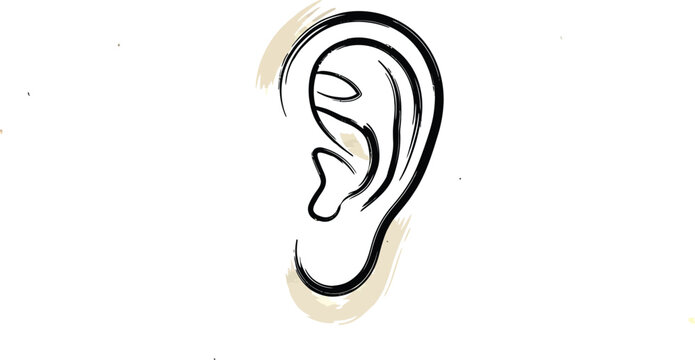 Black and white of a human ear with beige brush strokes