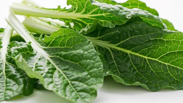 Fresh and Vibrant Green Chard Leaves on White Background for Healthy Eating Concept