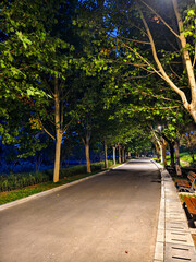 Fototapeta premium Night scene with illumination at Xiliu Lake Park Zhengzhou